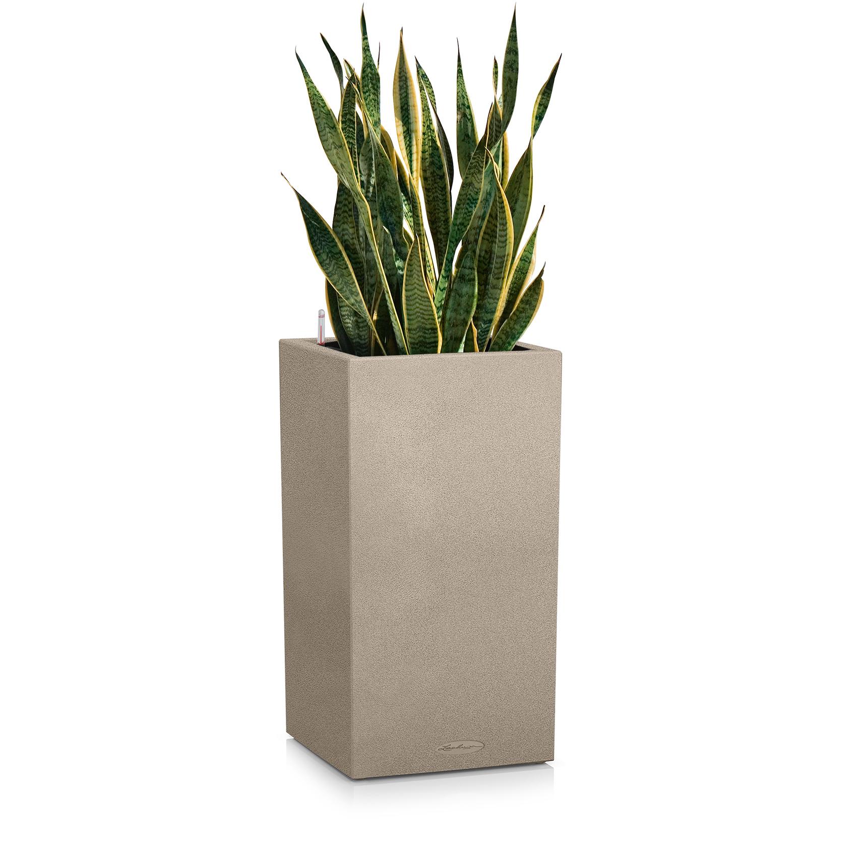 CANTO Stone 40 high sand beige